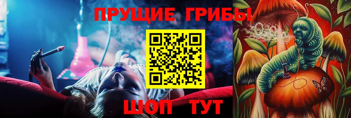 что такое   Вход с VPN  Кизилюрт  Псилоцибиновые грибы GOLDEN TEACHER 